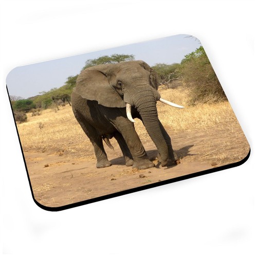 Tapis souris elephant - tapis, de